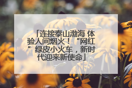 连接泰山渤海 体验人间烟火！“网红”绿皮小火车，新时代迎来新使命