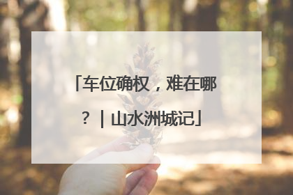 车位确权，难在哪？｜山水洲城记