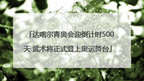 达喀尔青奥会迎倒计时500天 武术将正式登上奥运舞台