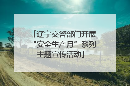 辽宁交警部门开展“安全生产月”系列主题宣传活动