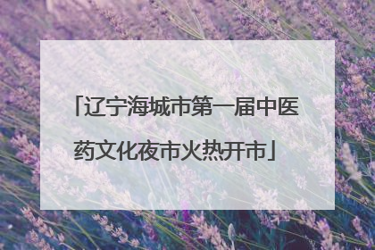 辽宁海城市第一届中医药文化夜市火热开市