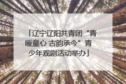 辽宁辽阳共青团“青暖童心 古韵承今”青少年观剧活动举办