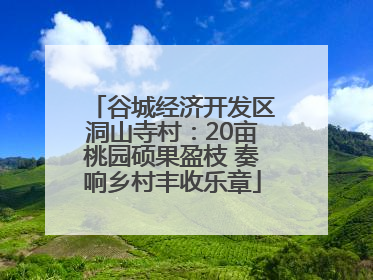 谷城经济开发区洞山寺村：20亩桃园硕果盈枝 奏响乡村丰收乐章