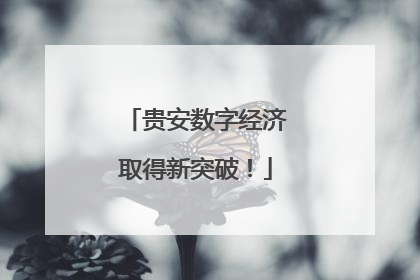贵安数字经济取得新突破！