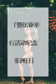 赞比亚举行活动纪念非洲日