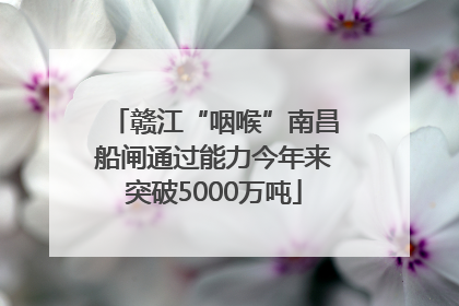 赣江“咽喉”南昌船闸通过能力今年来突破5000万吨