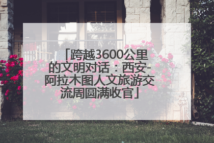 跨越3600公里的文明对话：西安-阿拉木图人文旅游交流周圆满收官