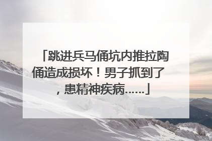 跳进兵马俑坑内推拉陶俑造成损坏！男子抓到了，患精神疾病……