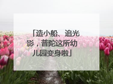 造小船、追光影，普陀这所幼儿园变身啦