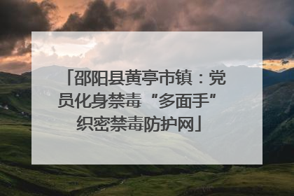 邵阳县黄亭市镇：党员化身禁毒“多面手” 织密禁毒防护网