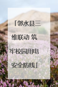 邻水县三维联动 筑牢校园用电安全防线