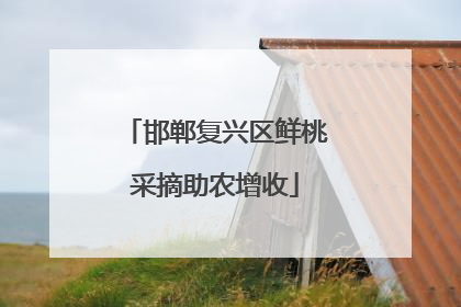 邯郸复兴区鲜桃采摘助农增收