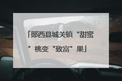 郧西县城关镇“甜蜜”桃变“致富”果