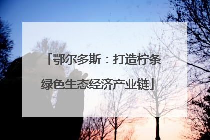 鄂尔多斯：打造柠条绿色生态经济产业链