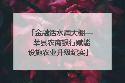 金融活水润大棚——莘县农商银行赋能设施农业升级纪实