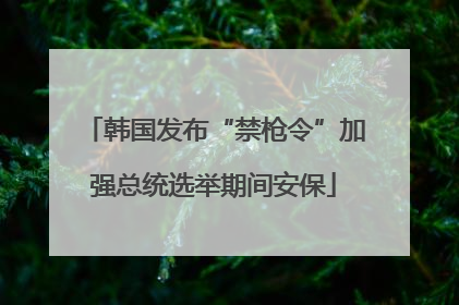 韩国发布“禁枪令”加强总统选举期间安保