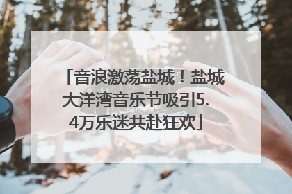 音浪激荡盐城！盐城大洋湾音乐节吸引5.4万乐迷共赴狂欢