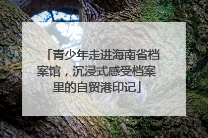 青少年走进海南省档案馆，沉浸式感受档案里的自贸港印记