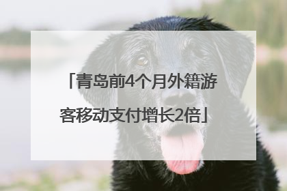 青岛前4个月外籍游客移动支付增长2倍