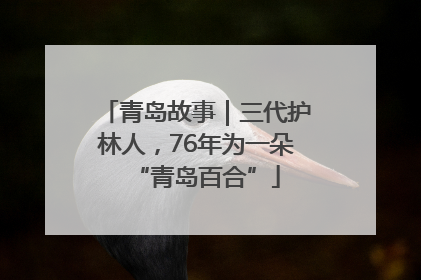 青岛故事｜三代护林人，76年为一朵“青岛百合”
