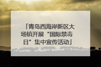 青岛西海岸新区大场镇开展“国际禁毒日”集中宣传活动