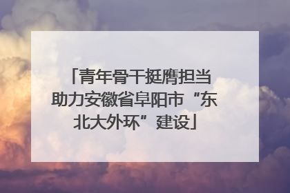 青年骨干挺膺担当 助力安徽省阜阳市“东北大外环”建设