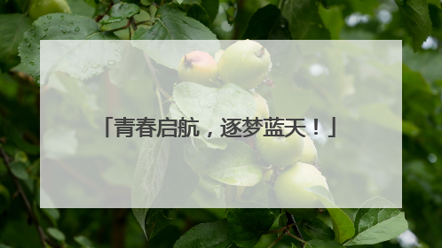 青春启航，逐梦蓝天！