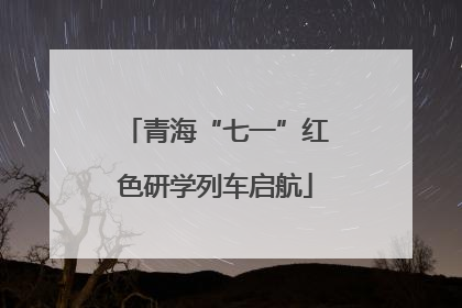 青海“七一”红色研学列车启航