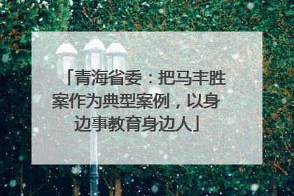 青海省委：把马丰胜案作为典型案例，以身边事教育身边人