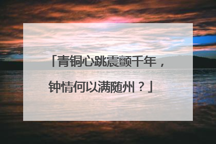 青铜心跳震颤千年，钟情何以满随州？