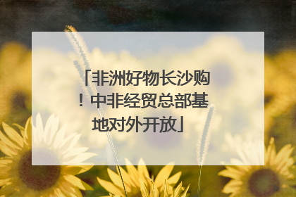 非洲好物长沙购！中非经贸总部基地对外开放