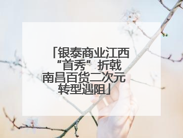 银泰商业江西“首秀”折戟 南昌百货二次元转型遇阻
