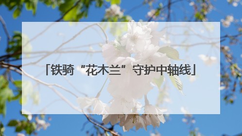 铁骑“花木兰”守护中轴线