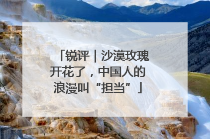 锐评｜沙漠玫瑰开花了，中国人的浪漫叫“担当”