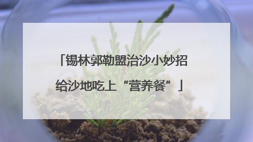 锡林郭勒盟治沙小妙招 给沙地吃上“营养餐”