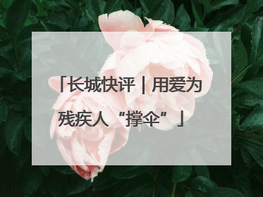 长城快评｜用爱为残疾人“撑伞”