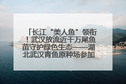 长江“美人鱼”领衔！武汉放流近千万尾鱼苗守护绿色生态——湖北武汉青鱼原种场参加2025年“全国放鱼日”增殖放流活动