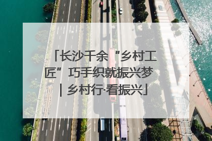 长沙千余“乡村工匠”巧手织就振兴梦｜乡村行·看振兴