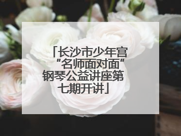 长沙市少年宫“名师面对面”钢琴公益讲座第七期开讲