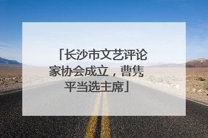 长沙市文艺评论家协会成立，曹隽平当选主席
