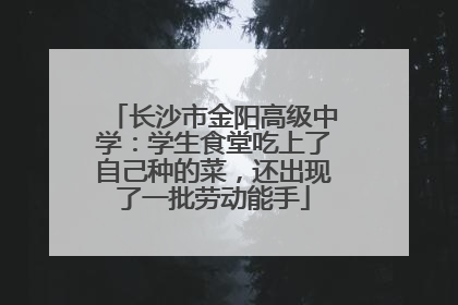 长沙市金阳高级中学：学生食堂吃上了自己种的菜，还出现了一批劳动能手