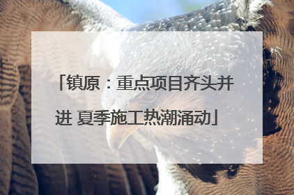 镇原：重点项目齐头并进 夏季施工热潮涌动