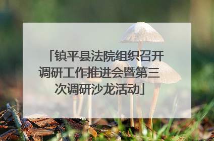 镇平县法院组织召开调研工作推进会暨第三次调研沙龙活动