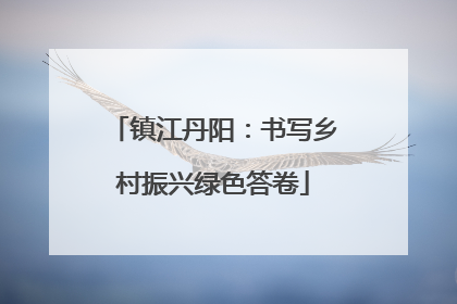 镇江丹阳：书写乡村振兴绿色答卷