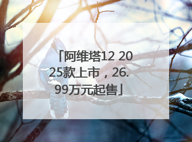 阿维塔12 2025款上市，26.99万元起售