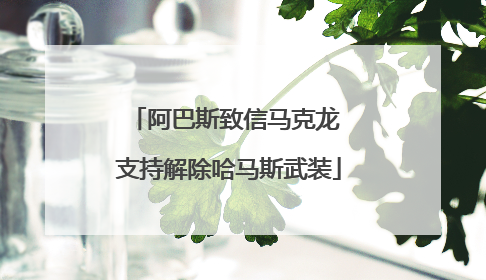 阿巴斯致信马克龙 支持解除哈马斯武装