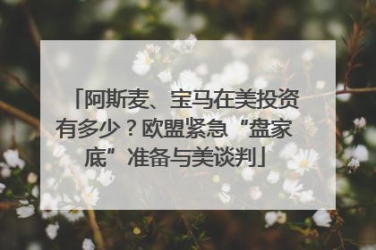 阿斯麦、宝马在美投资有多少？欧盟紧急“盘家底”准备与美谈判