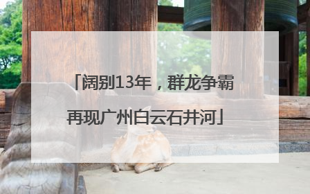 阔别13年，群龙争霸再现广州白云石井河