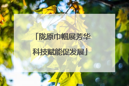 陇原巾帼展芳华 科技赋能促发展