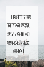 陕甘宁蒙晋五省区聚焦古脊椎动物化石司法保护